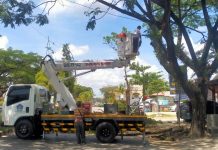 Atasi 1275 Pohon, Pj Wali Kota Apresiasi Kinerja Satgas Penataan Kota Kendari