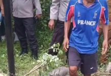 Lima Pekerja Telkom Tersengat Listrik, Dua Orang Meninggal Dunia