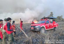 Taman Nasional Rawa Aopa di Bombana Terbakar