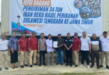Kadin Sultra Kirim Puluhan Ton Ikan Beku ke Jawa Timur