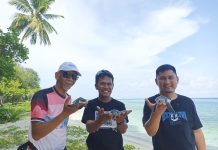 Disparekraf Sultra Dukung Penangkaran Tukik di Kawasan Pantai Koguna Buton
