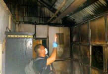 Motif Sakit Hati, Seorang Pria di Kendari Bakar Rumah Adiknya