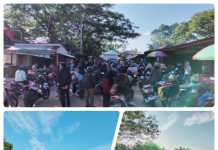 Pelabuhan Torobulu Konsel Mulai Dipadat Antrian Kendaraan