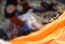 Nelayan Temukan Jasad Bayi di Pesisir Laut Desa Lasalepa Muna