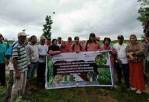 Dosen UHO Sosialisasi Jenis Organisme Pengganggu Tanaman Jagung di Desa Warambe Muna