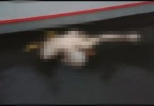 Heboh, Warga Temukan Mayat Dengan Kondisi Setengah Badan di Muna