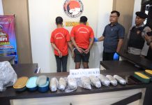 Dua Pria Dibekuk Polisi Saat Hendak Ambil Paket Kiriman Ganja 1,32 Kg di Kendari