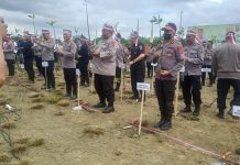 Jajaran Polda Sultra Bersama Forkopimda Tanam 20 Ribu Bibit Magrove di Kawasan Teluk Kendari