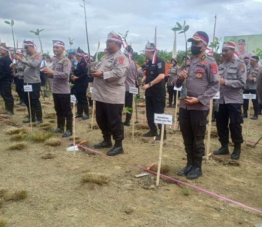 Jajaran Polda Sultra Bersama Forkopimda Tanam 20 Ribu Bibit Magrove di Kawasan Teluk Kendari