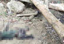 Bikin Gempar Warga Masalili, Mayat Tanpa Identitas Ditemukan Sudah Membusuk di Hutan