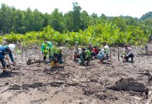 Lestarikan Wilayah Pesisir, Polsek Laonti dan PT GMS Tanam Mangrove