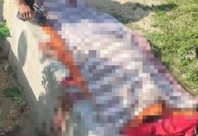 Pria di Desa Hodua Konawe Tewas Bersimbah Darah Usai Cekcok dengan Saudara Kandung Gegara Batas Tanah