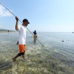 Kegiatan Tombak Ikan, Daya Tarik Wisata Desa Wasuemba