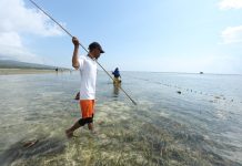 Kegiatan Tombak Ikan, Daya Tarik Wisata Desa Wasuemba