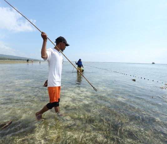 Kegiatan Tombak Ikan, Daya Tarik Wisata Desa Wasuemba