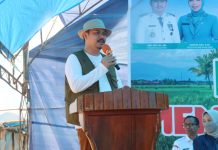 Sapa Petani di Kecamatan Ladongi, Bupati Koltim Berharap Panen Raya Terus Ditingkatkan