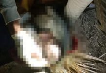 Pemulung di Kendari Temukan Mayat Bayi di Tempat Pembuangan Sampah