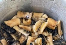 Kabuto Makanan Khas Muna Wajib Kalian Coba Jika Berkunjung di Sultra, Dapat Menggoyang Lidah