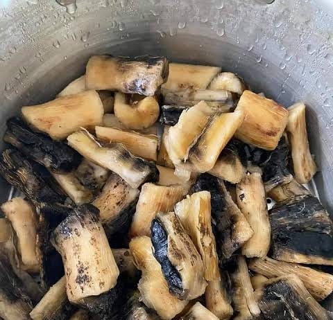 Kabuto Makanan Khas Muna Wajib Kalian Coba Jika Berkunjung di Sultra, Dapat Menggoyang Lidah