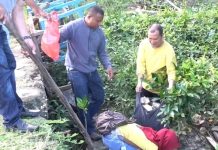 Pemkot Kendari Gelar Karya Bakti Sebagai Komitmen Kuat Menjaga Kebersihan Lingkungan