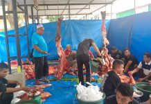 Polda Sultra Sembelih 354 Ekor Sapi dan 9 Ekor Kambing Hewan Kurban