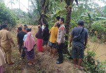 Bocah 10 Tahun di Kolaka Timur Dilaporkan Hilang Saat Hendak Keluar Bermain