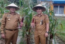 Pj Wali Kota Kendari Intruksikan Jajarannya Manfaatkan Lahan Kosong di Pekarangan