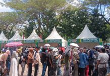 Sultra Run Bersama Ruksamin dan Raffi Ahmad, Puluhan Ribu Warga Kendari Rela Antri Mendaftar Offline