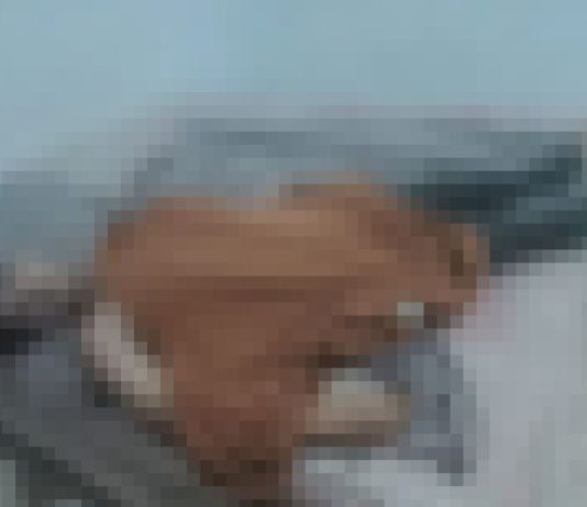 Habis Kencan, Pria Tanpa Identintas di Kendari Ditemukan Meninggal Dunia di Hotel