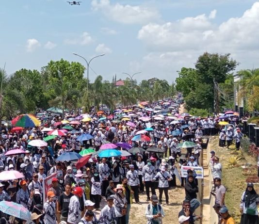 Ribuan Guru Padati PN Andoolo Konsel, Kawal Sidang Supriyani