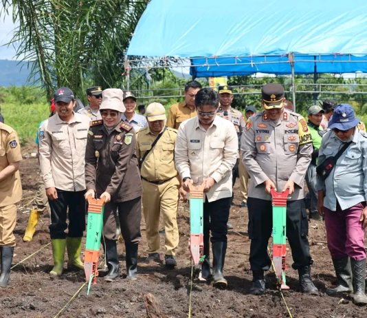 Bupati Koltim Siap Wujudkan Ketahanan Pangan Nasional