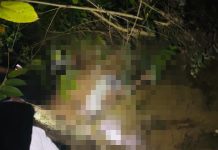 Warga Kota Kendari Digegerkan Penemuan Jasad Pria di Selokan