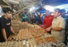 Jelang Ramadan 2025, Pj Gubernur Sultra Tinjau Stok Beras dan Bahan Pokok