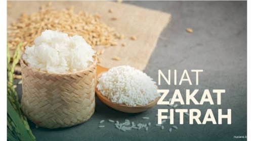 1680749682_ab489c0e-1960-4aab-b0fb-db9874fb5932.jpg&width=500&height=280